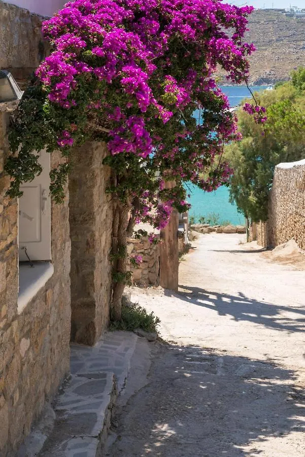 Mymykonos Guest House Platys Gialos  Casa de Férias